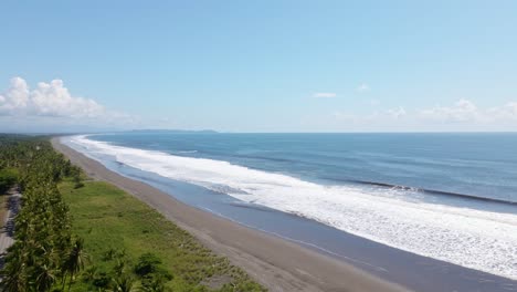 fast aeial tilt reveal of a typical costa rica coastline with numerous lush palm trees