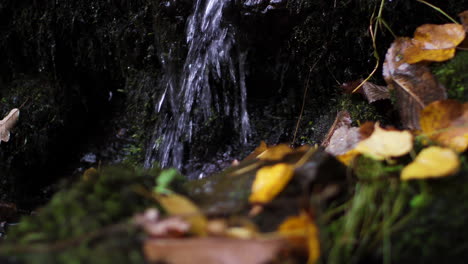 water flowing down moss covered rockface. locked off