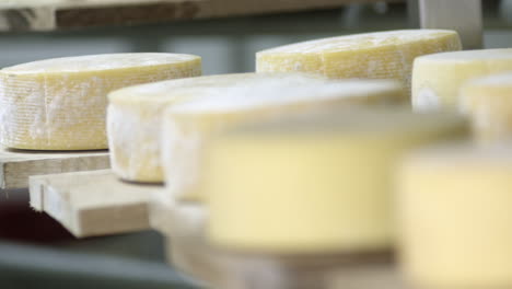 focus and blur shot of cheeses in winery