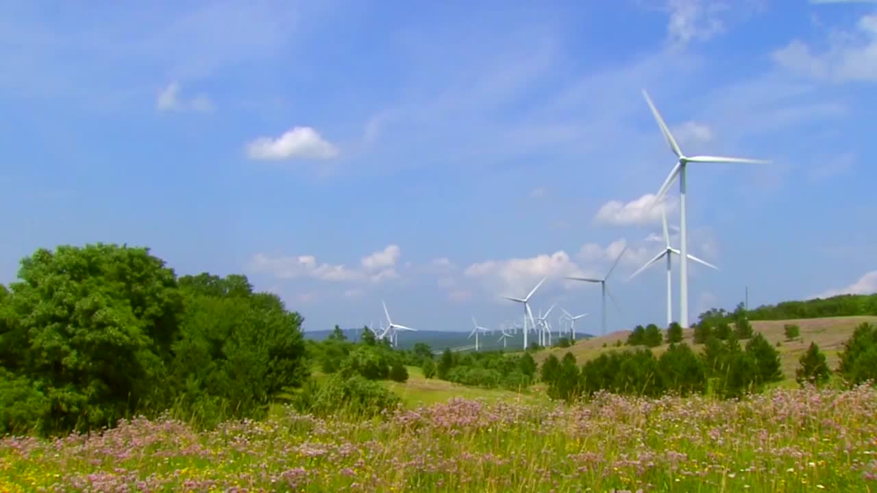 풍력 에너지는 전기를 생산하는 깨끗한 형태입니다.