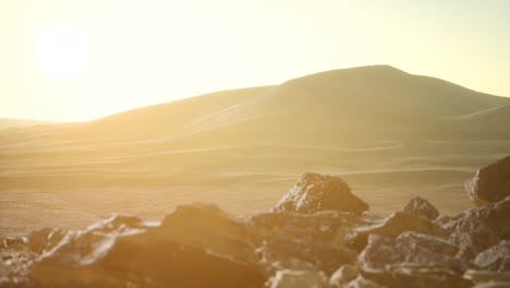 aerial view on big sand dunes in sahara desert at sunrise