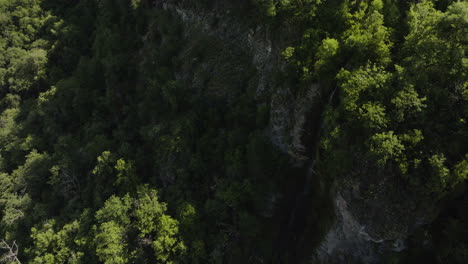 Kaskaden-Auf-Felsigen-Bergen-Mit-Dichter-Vegetation-Im-Borjomi-Central-Park,-Georgia