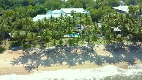 panning palm cove beach at 45 degree angle from drone