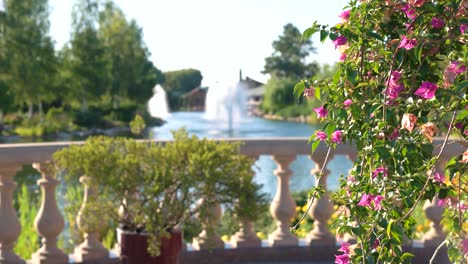 flowers on blurred nature background.