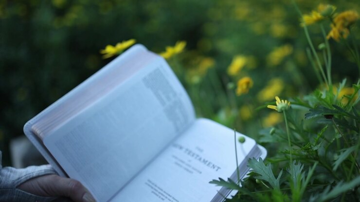 A hand gently holds open a New Testament Bible amid blooming yellow wildflowers, soft natural light casting a tranquil mood. Close-up shot with shallow depth of field outdoors.