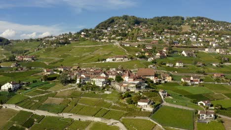 Antena-Acercándose-Y-Orbitando-Grandvaux-Village