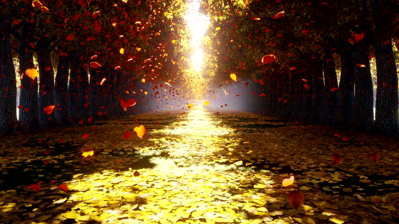 가을 공원을 날아다니는 카메라 가을 잎은 나무에서 떨어지고 향해 날아갑니다 가을 다채로운 풍경 가을 태양은 빛나고 있습니다 루프 현실적인 3d 애니메이션