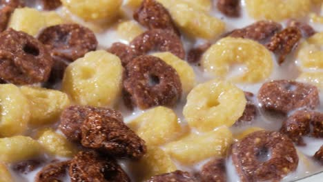cereal de maíz de chocolate para el desayuno en un tazón con leche.
