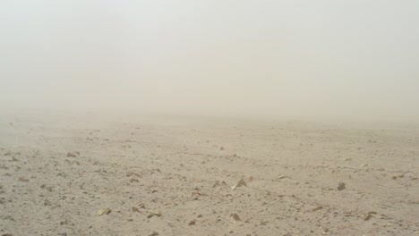 dust storm in the field. demolishes the fertile layer of black soil and crops.