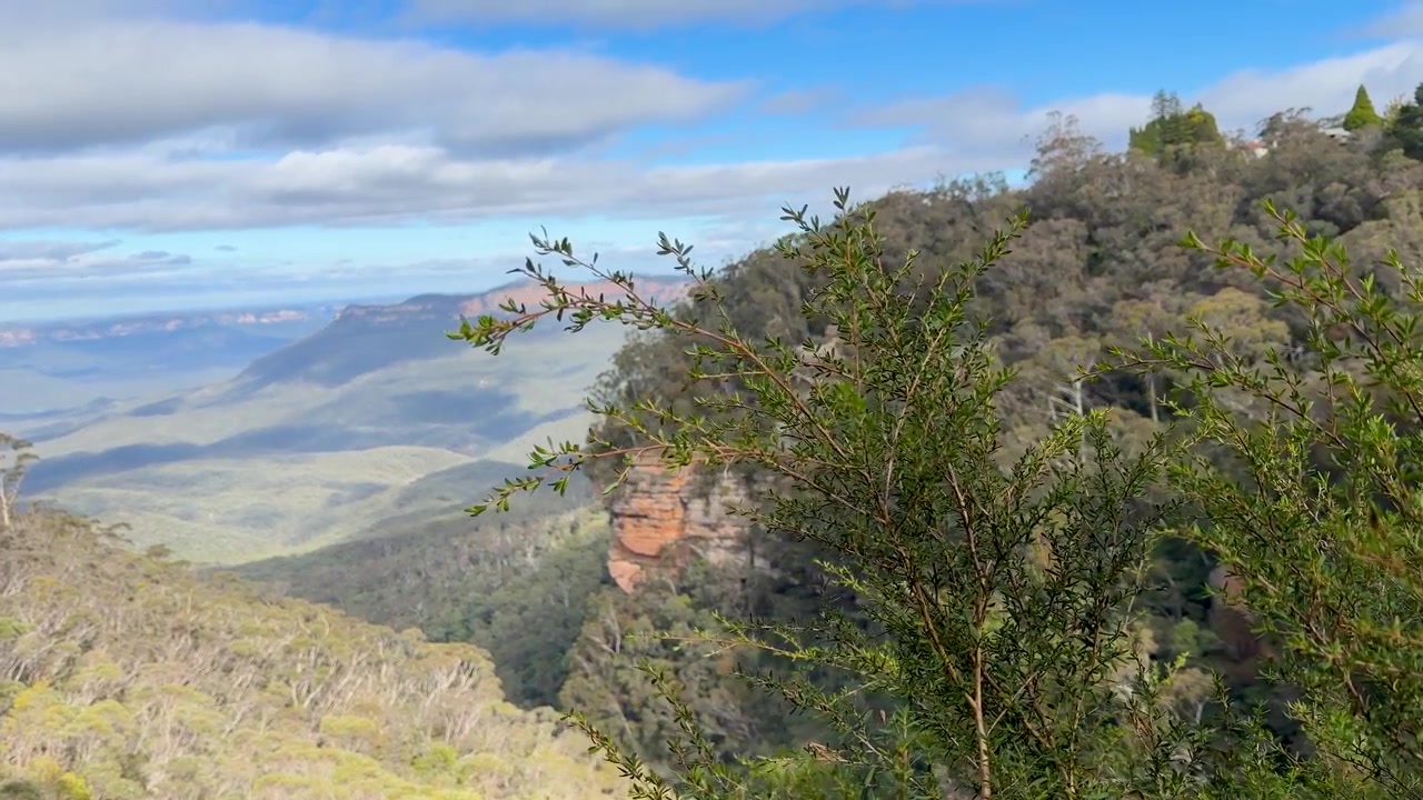 Inquadratura ampia di scogliere di arenaria e foreste di eucalipto nella Jamison Valley, Blue Mountains, Australia.