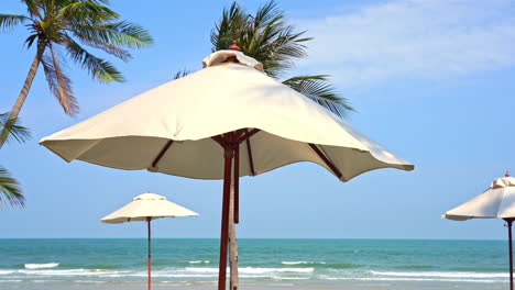 sombrillas y árboles exóticos en una playa tropical vacía con horizonte marino en un día soleado, cuadro completo