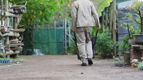 back view of african american male gardener walking with wheelbarrow at garden center