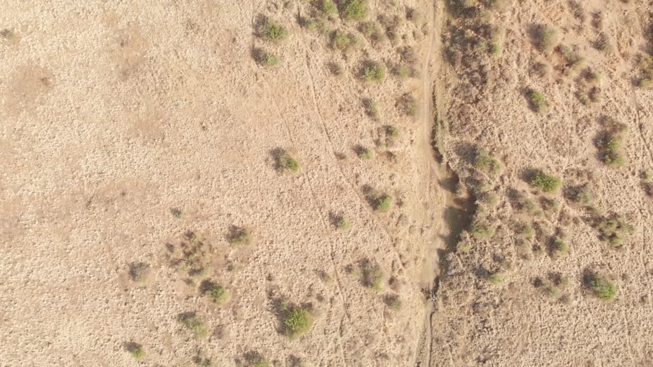 숲 지역에서 경주하는 산악 자전거 타는 사람의 공중 하향식