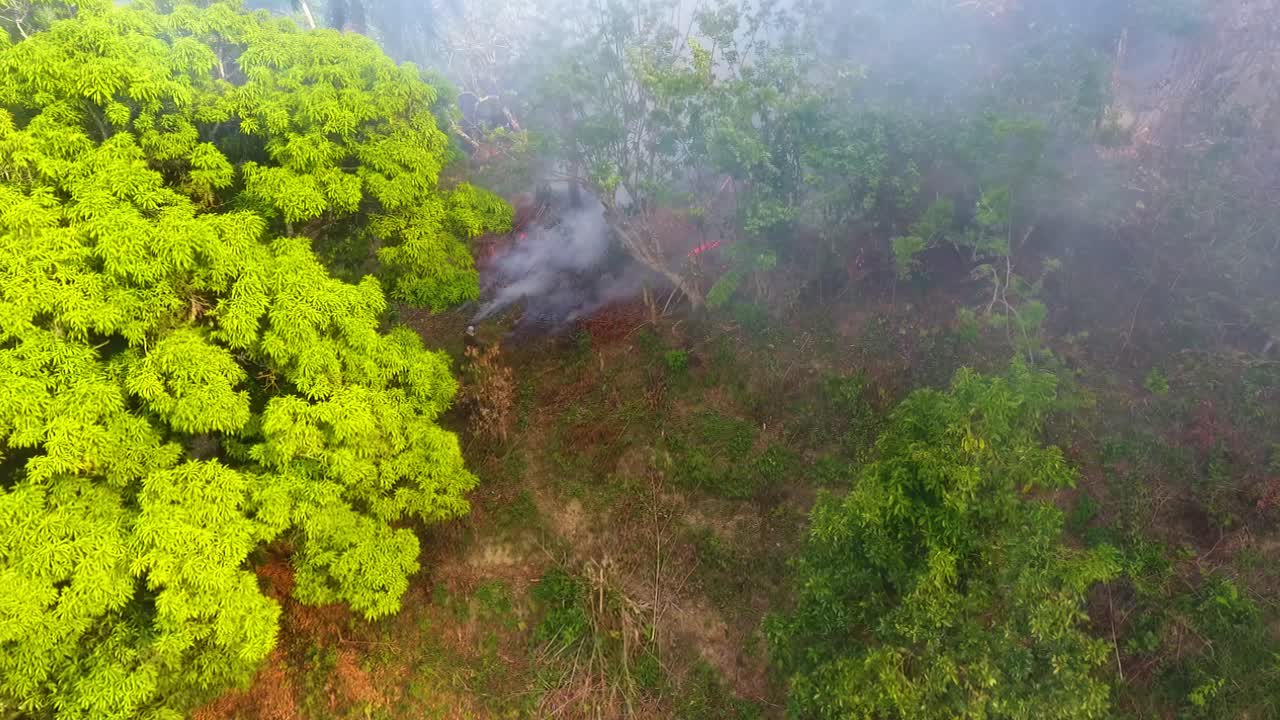 los incendios forestales amenazan a los animales, los incendios en las montañas de portugal, europa - disparo aéreo de drones