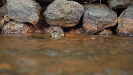 Slow-motion-close-up-shot-of-the-graceful-flow-of-river-water-around-smooth-rocks