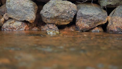 cámara lenta de primer plano del flujo gracioso del agua del río alrededor de rocas lisas