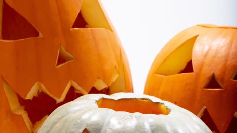 animación de calabazas sobre un fondo blanco