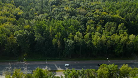 concrete road between dense foliage forest with vehicles travelling during sunny day in witomino, poland