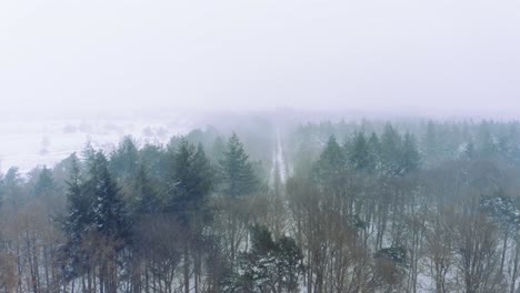 majestic aerial drone shot, flying over forest treetops, during blizzard, real-time shot