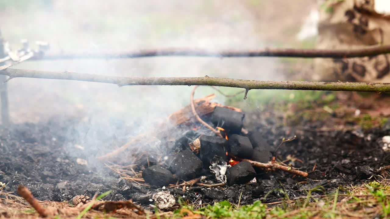 숲에서 캠프 파이어