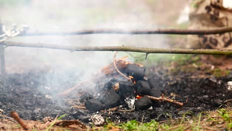 fuego de campamento en el bosque