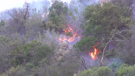 a brushfire in the hills of malibu burns out of control in the woolsey fire