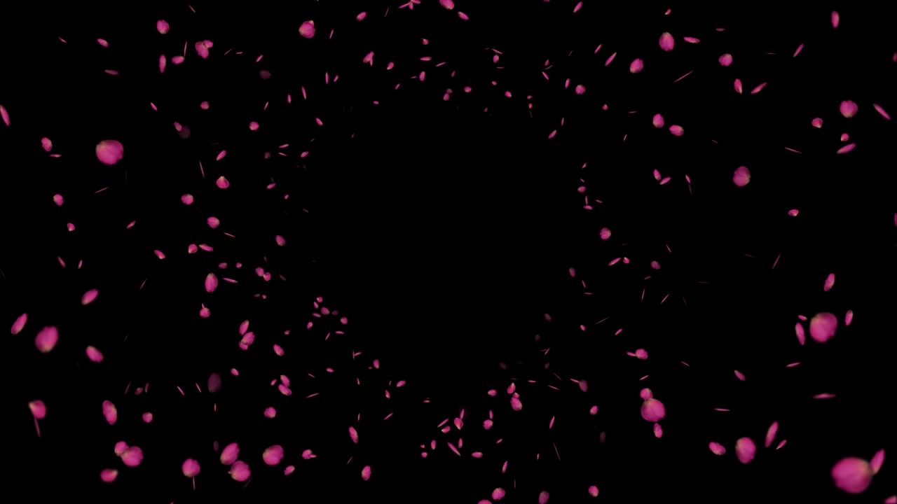 장미 꽃잎은 검은색과 녹색 화면에 루프 애니메이션