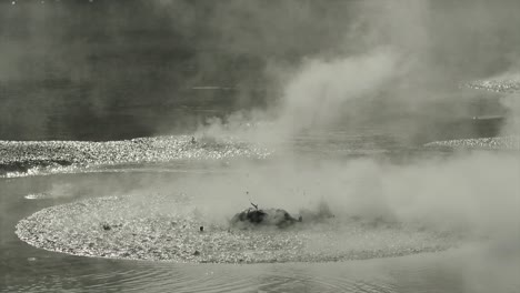 boiling hot geothermal volcanic mud pool, closeup shot steamy lake bubbling mud and steam satisfying