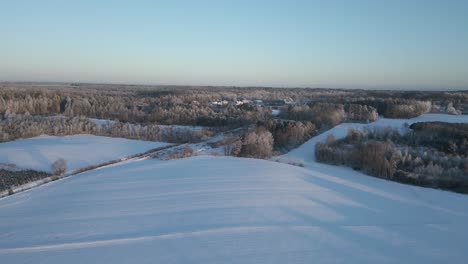 Flying-over-snow-covered-fields-towards-the-forest