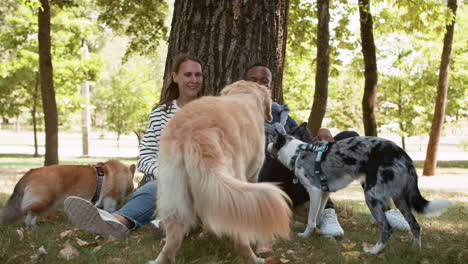 casal com animais de estimação ao ar livre