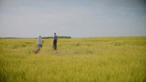 couple walking through a wheat field