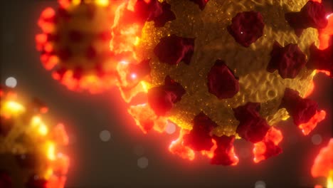 coronavirus covid-19 medical model animation