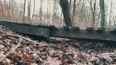 Slow motion clip of person running over old wooden bridge in forest
