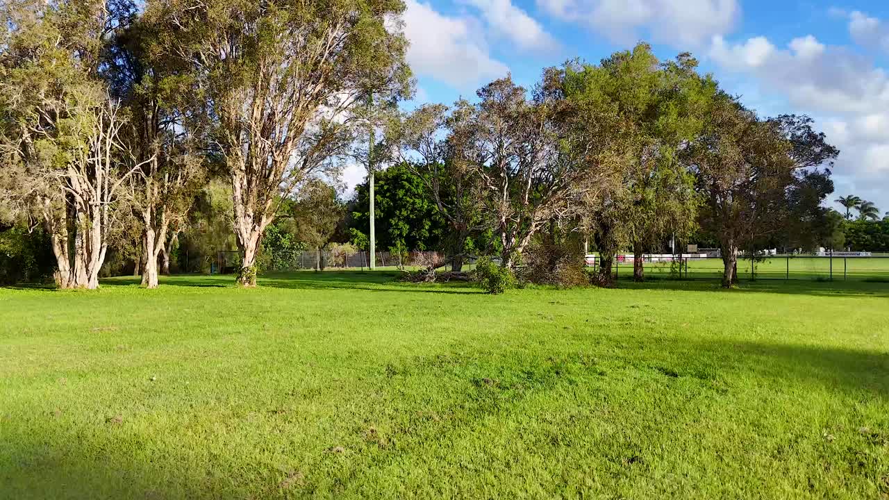 A tranquil park scene with lush greenery and trees under bright daylight, captured on the Gold Coast, Australia