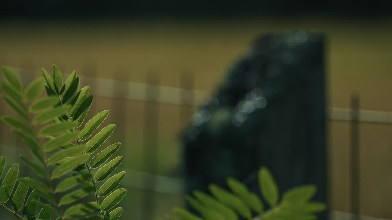 Close up of a moss covered wooden fence post in Lonjsko Polje, Krapje, Croatia