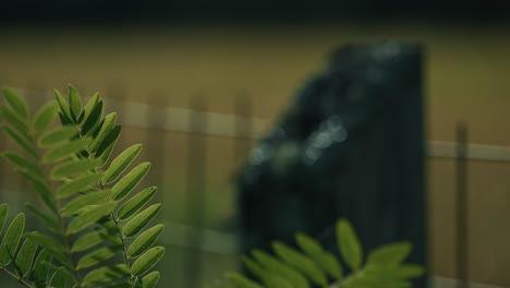 close up of a moss covered wooden fence post in lonjsko polje, krapje, croatia
