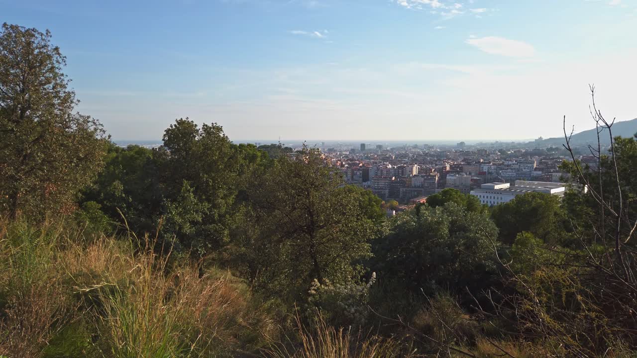 Lush vegetation and dry grass frame a panoramic view of barcelona's cityscape under a clear blue sky. Showcasing the city's urban sprawl from an elevated vantage point within a tranquil park setting