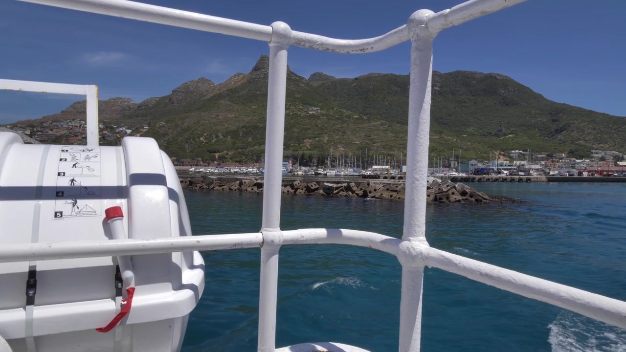 Blick vom Ausflugsboot auf den Hafen von Hout Bay, mit Yachten, die entlang der Uferpromenade unter üppig grünen Bergen und einem klaren blauen Himmel festgemacht sind