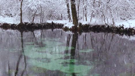 Verschneite-Winterszene-Im-Naturschutzgebiet-Blue-Springs,-Polen---Statisch