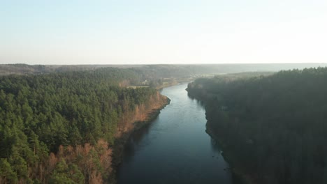 Antenne:-Majestätischer-Pinienwald-Am-Horizont-Und-Fließender-Fluss-Neris-An-Einem-Kühlen,-Nebligen-Abend