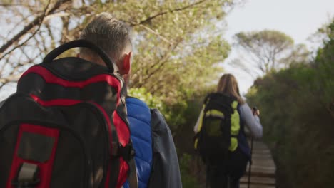 Aktives-älteres-Paar-Beim-Wandern-Im-Wald