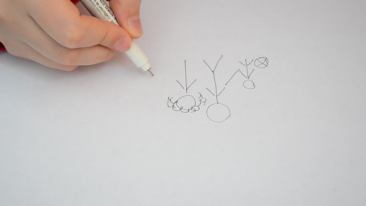 We draw a family. Drawing on a leaf in the real mode of time