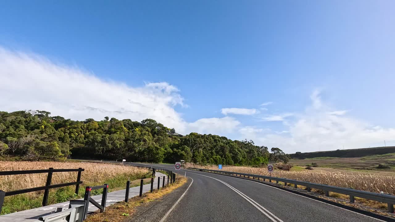 울창한 풍경을 가로질러 평화로운 운전