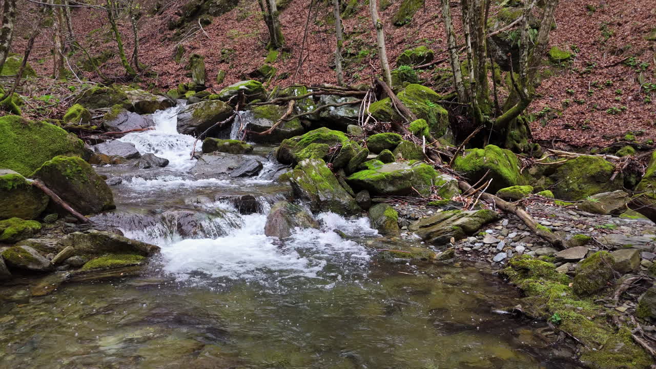 Flowing stream over mossy rocks in a serene forest setting, surrounded by autumn leaves