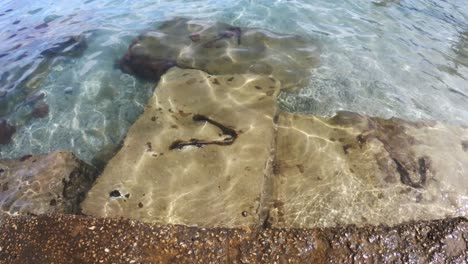 clear water and rocks underwater