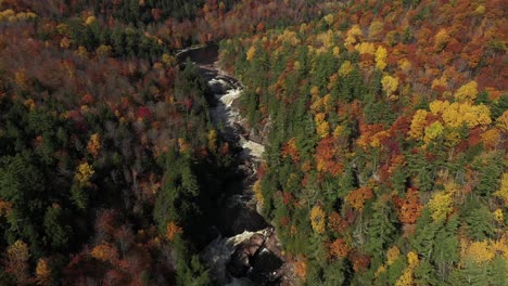 rapids running through fall colored forest rotating high view