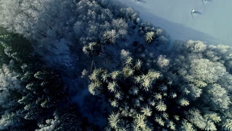 Vista-Aérea-Del-Bosque-Congelado-De-Finlandia,-Invierno-Blanco-Profundo-En-Escandinavia