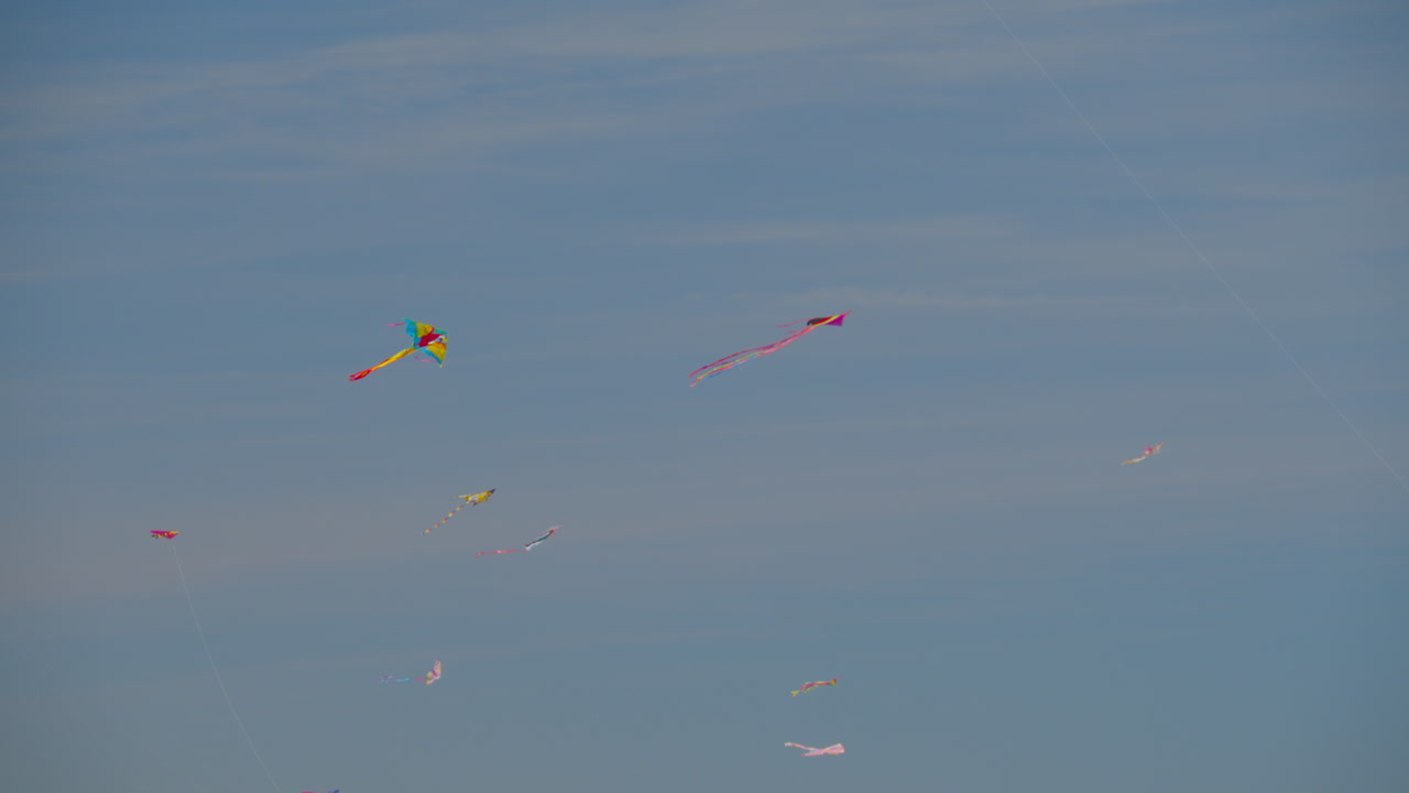 una bandada voladora de cometas multicolores