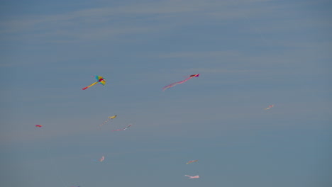 a flying flock of multicolor kites