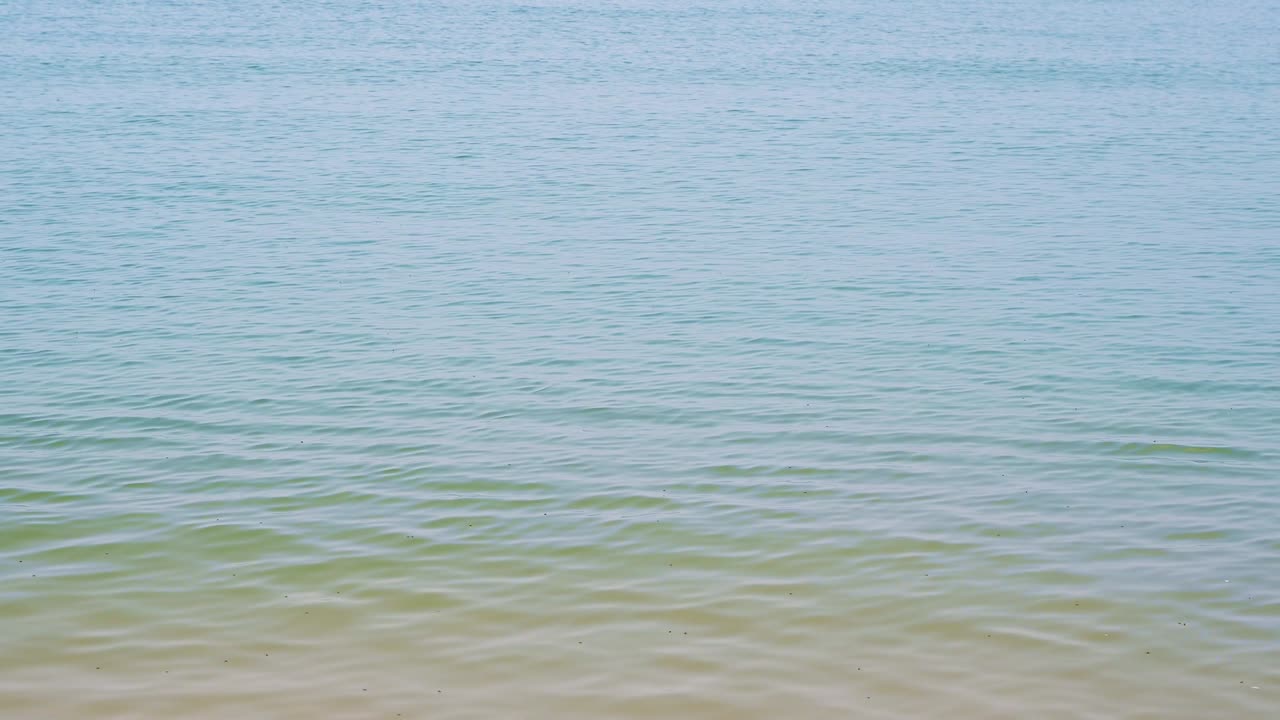 바다의 파동은 자연의 반사와 함께 4k 해상도입니다.